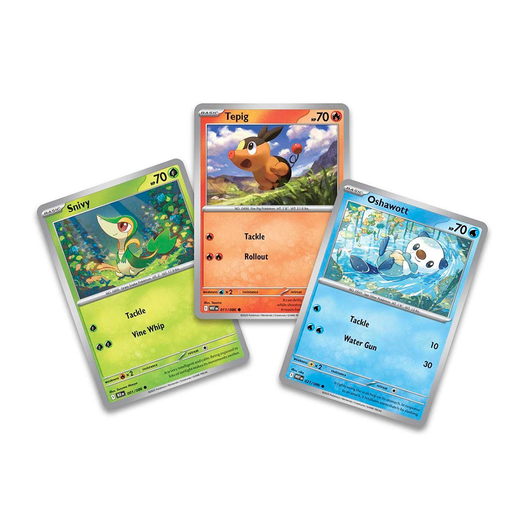Collection Poster Pokémon – Unys – Foudre Noire et Flamme Blanche